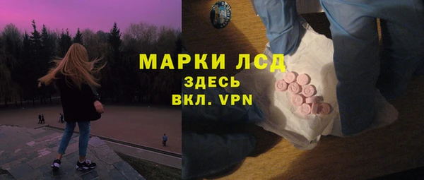 стафф Горнозаводск
