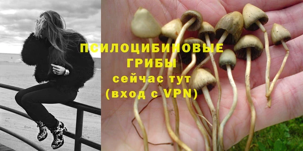 стафф Горнозаводск