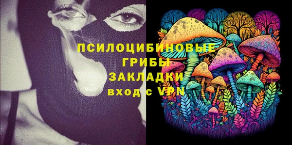 сатива Бежецк