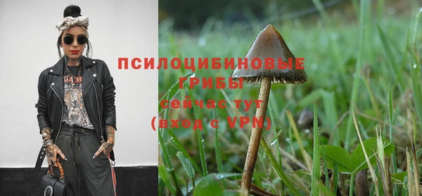 мет Горно-Алтайск